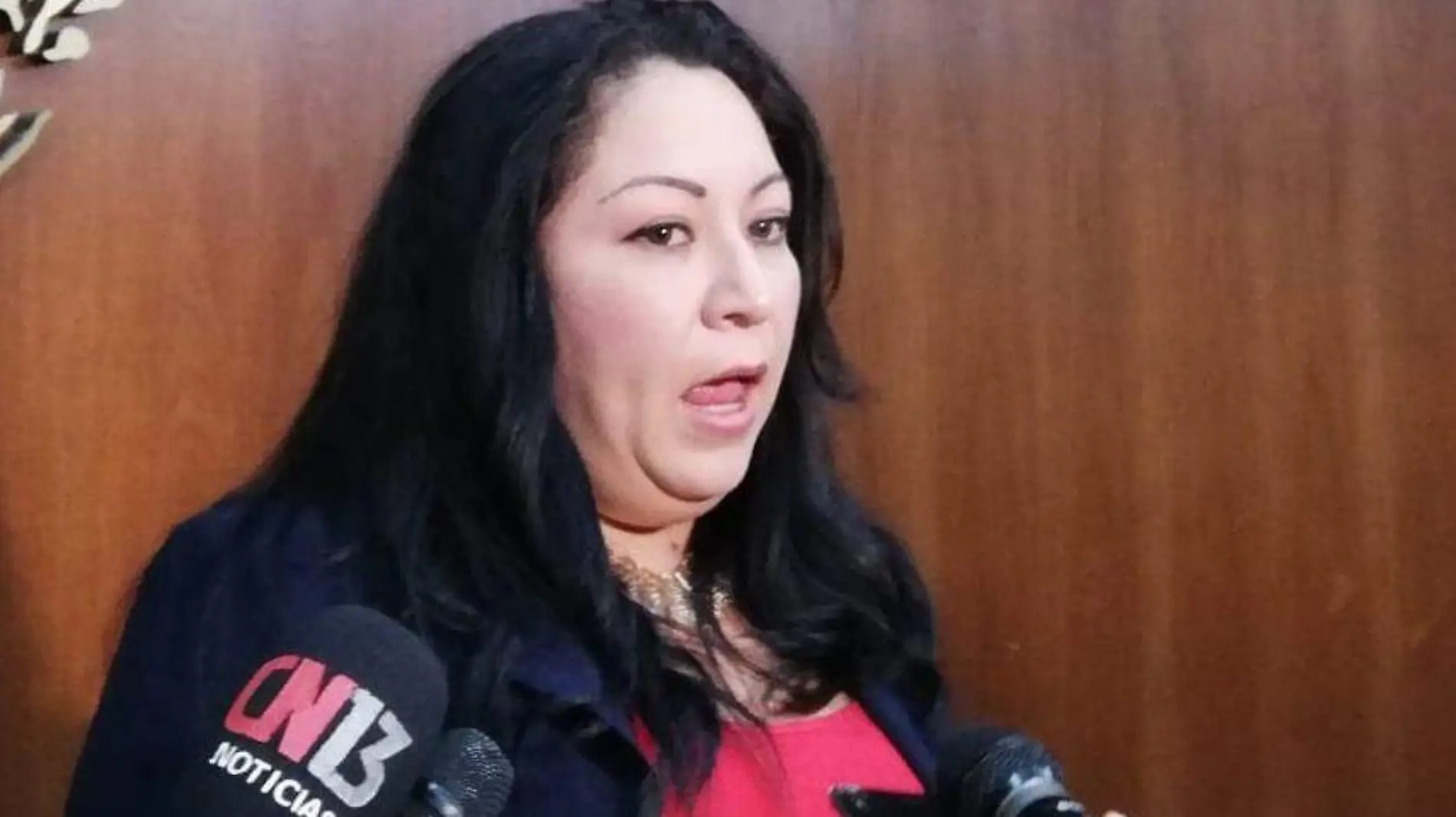 diputada Alejandra Valdés Martínez